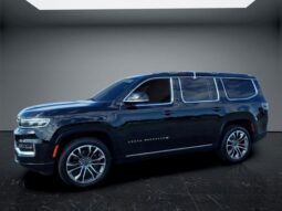 
 Jeep Grand Wagoneer full									