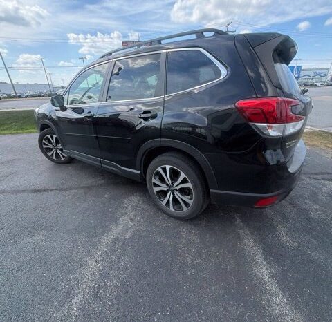 
								Subaru Forester full									