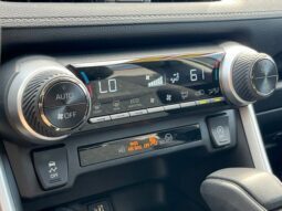 
										Toyota RAV4 full									
