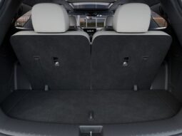 
										Kia Sorento Hybrid full									