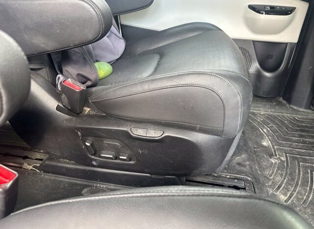 
								Kia Carnival full									
