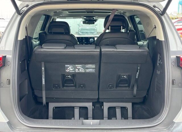 
								Kia Carnival full									