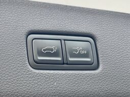 
										Kia Carnival full									