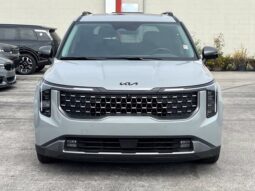 
										Kia Carnival full									