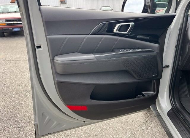 
								Kia Carnival full									