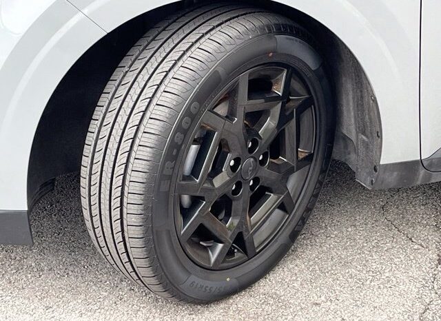 
								Kia Carnival full									