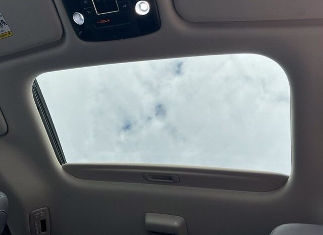 
								Kia Carnival full									