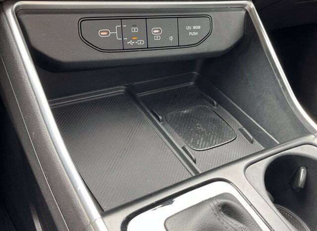 
								Kia Carnival full									