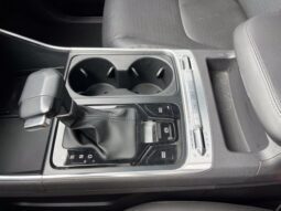 
										Kia Carnival full									