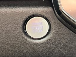 
										Kia Carnival full									