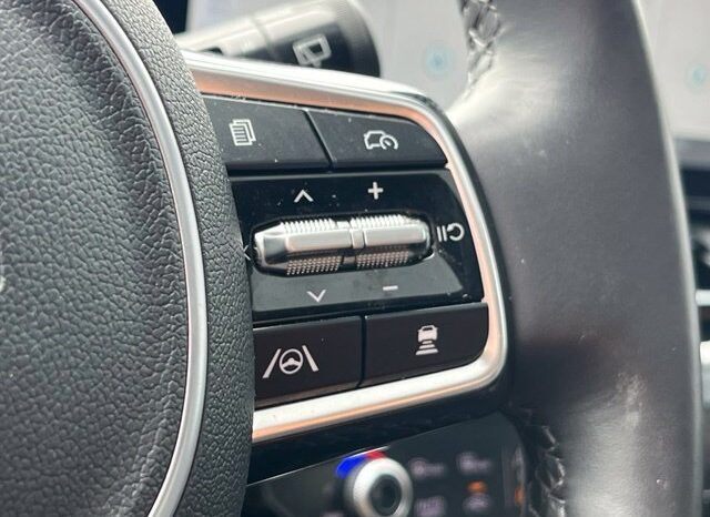 
								Kia Carnival full									