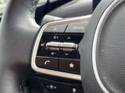 
										Kia Carnival full									
