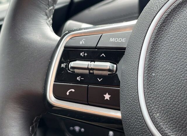 
								Kia Carnival full									