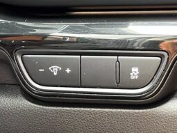 
										Kia Carnival full									