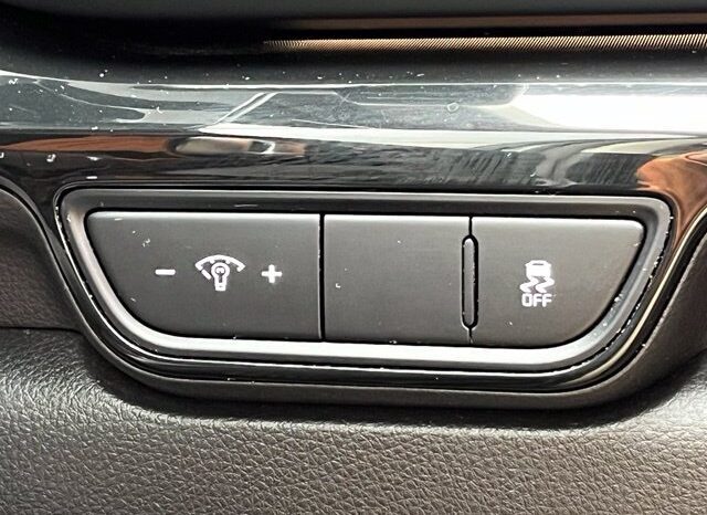 
								Kia Carnival full									