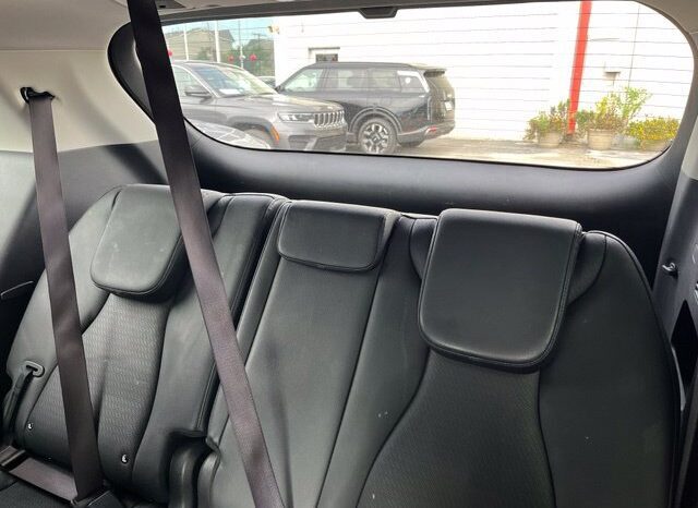 
								Kia Carnival full									