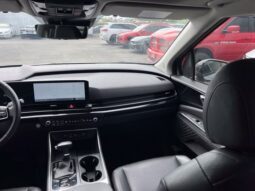 
										Kia Carnival full									
