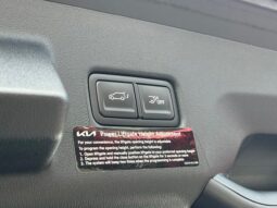 
										Kia Telluride Hybrid full									