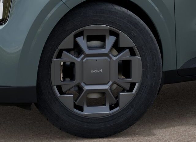 
 Kia Carnival Hybrid full									
