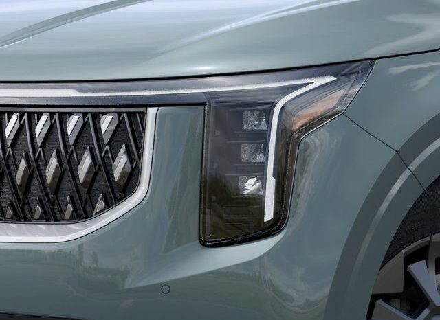 
 Kia Carnival Hybrid full									