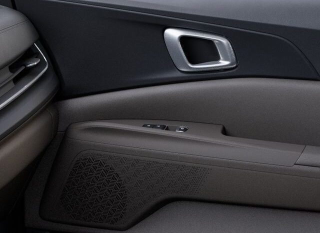 
 Kia Carnival Hybrid full									