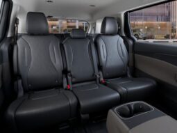 Kia Carnival full