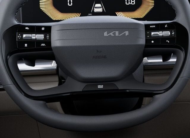 
 Kia Carnival full									