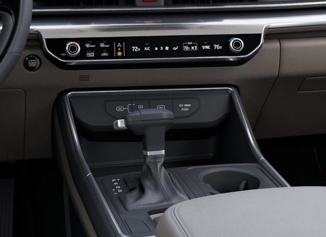 
 Kia Carnival full									