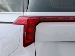 
 Kia Carnival full									