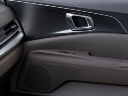 
 Kia Carnival full									