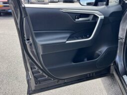 
										Toyota RAV4 Hybrid full									