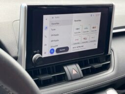 
										Toyota RAV4 Hybrid full									