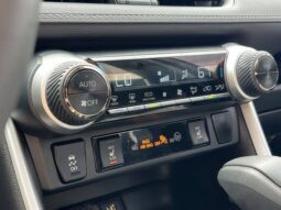 
										Toyota RAV4 Hybrid full									