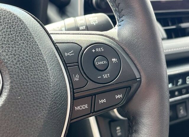 
								Toyota RAV4 Hybrid full									