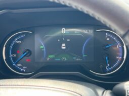 
										Toyota RAV4 Hybrid full									