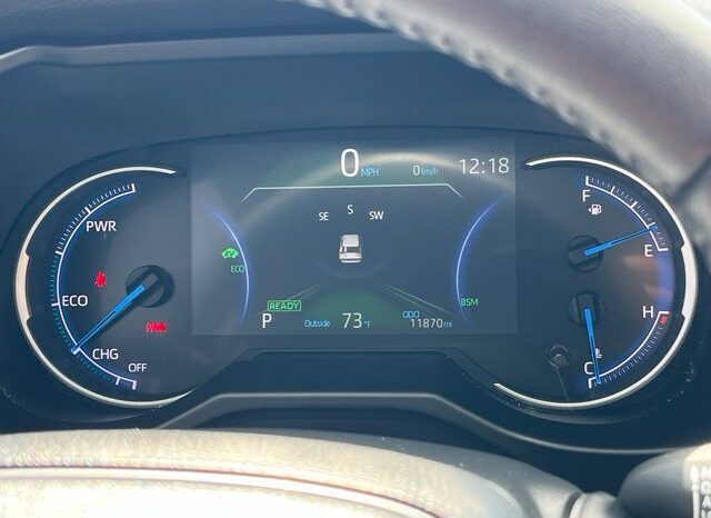 
								Toyota RAV4 Hybrid full									