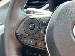 
										Toyota RAV4 Hybrid full									