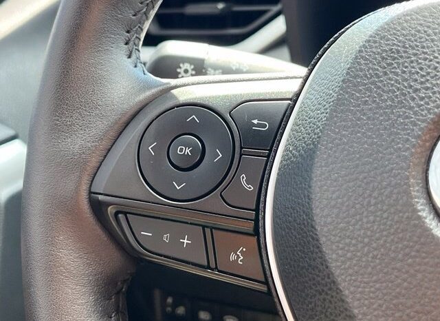 
								Toyota RAV4 Hybrid full									