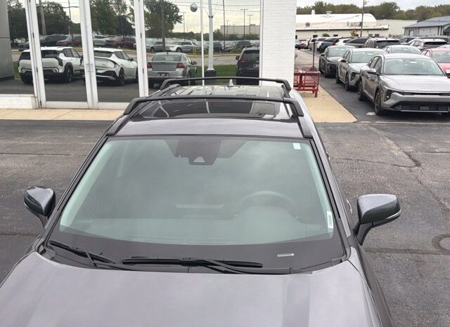 
								Toyota RAV4 Hybrid full									