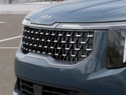 
 Kia Carnival full									