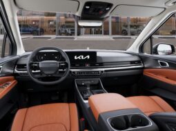 
 Kia Carnival full									