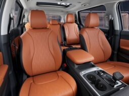 
 Kia Carnival full									