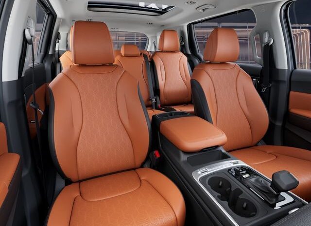 
 Kia Carnival full									