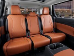 
 Kia Carnival full									