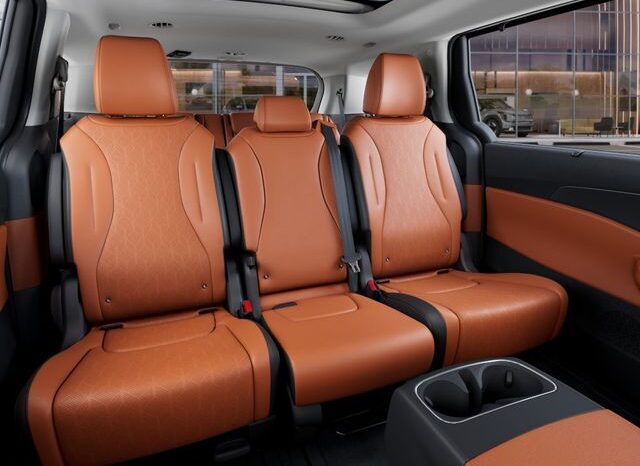 
 Kia Carnival full									