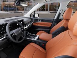 
 Kia Carnival full									
