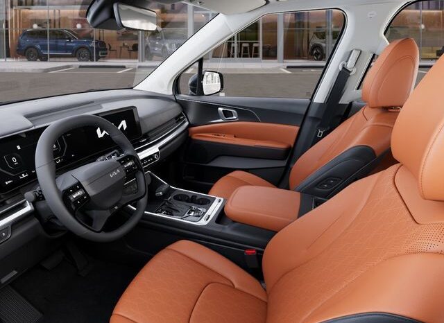 
 Kia Carnival full									