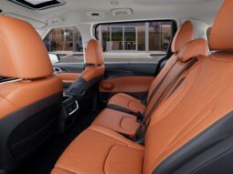 
 Kia Carnival full									