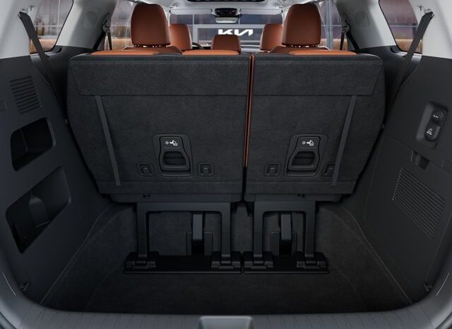 
 Kia Carnival full									