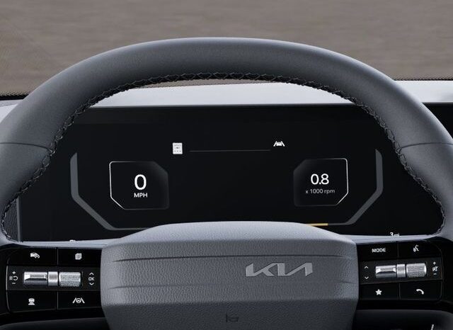 
 Kia Carnival full									